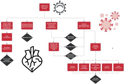 Sequelae and Comorbidities of COVID-19 Manifestations on the Cardiac and the Vascular Systems